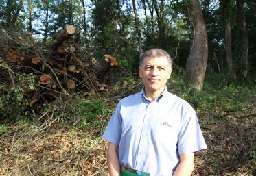 Saïd Difle, directeur territorial Grand Ouest d'Alliance Forêts Bois.