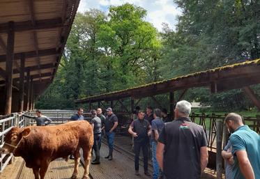 Le groupe jeunes de Corali est parti à la rencontre du taureau Titan, au Domaine des Étoiles, le 19 juin.