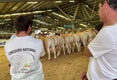 Les éleveurs de Blondes d'Aquitaine arboraient un t-shirt (offert par la Mutuelle de Poitiers) rappelant la tenue de leur National à Lezay, du 22 au 24 août 2025.