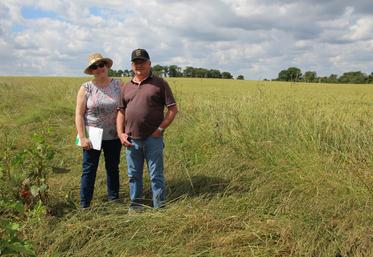 Myriam Voisine-Blanchard et son époux Alain sont fiers de leurs bandes mellifères qui coupent en deux une grande parcelle de 56 hectares.