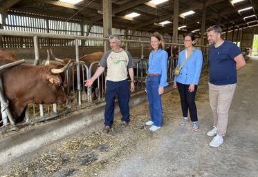 Dominique Girard présente ses bêtes à deux responsables d'Hippopotamus, qui achète ses crédits carbone, et au chef cuisinier du restaurant de Bordeaux-lac.