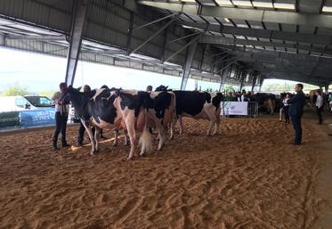 Les éleveurs laitiers seront invités prochainement à s'inscrire via la page Facebook du syndicat Prim'Holstein 79.