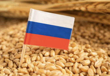 Pour la plupart des céréales, les droits de douane sont fixés entre 93 et 95 euros la tonne.