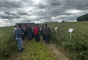 Près de 350 agriculteurs ont participé à la journée, et ont glané de précieux conseils auprès des techniciens.