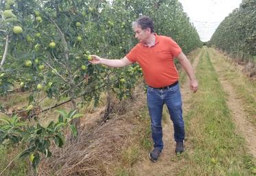 Christophe Couteleau fait partie des arboriculteurs de Pom'Évasion qui fourniront leurs fruits au Village olympique.