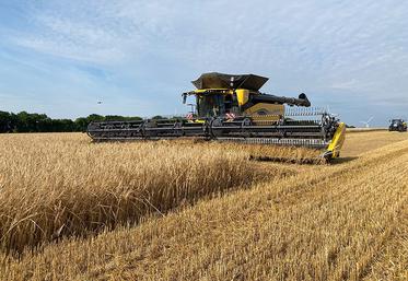 La petite dernière de chez New Holland, la CR 11 a été présentée, jeudi 27 juin, à Essouvert.
