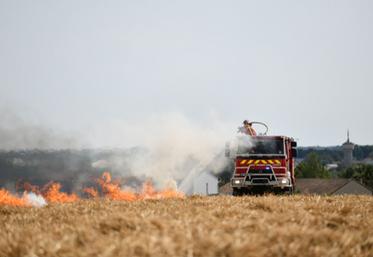 L'incendie s'est déclaré dans une parcelle de 10 ha, dont 8 ha ont été détruits.