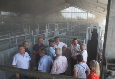 Pendant leur visite du marché au cadran, les élus et le Préfet de la Vienne ont profité des brumisateurs, installés l'année dernière dans la bouverie agrandie.