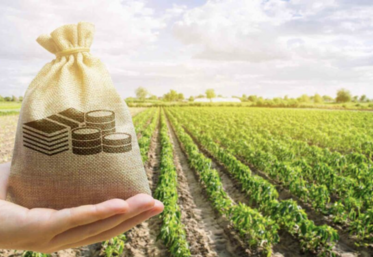 Après deux années de hausse de la valeur de la production agricole française, le repli est de 1,5 % en 2023.