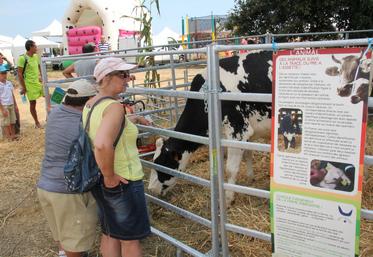 Plusieurs races d'animaux seront présentes tout le week-end, regroupées au sein du pôle Animal (photo d'archives).