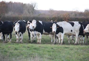 Entre inflation, déférencement par la GMS, et éloignement des consommateurs, les produits bio peinent à retrouver leur place.