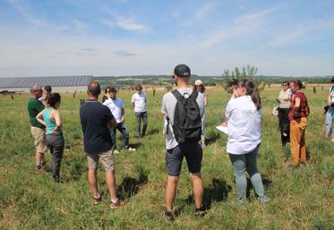 La parcelle en agroforesterie de Laurent Lambert fait 6 ha.