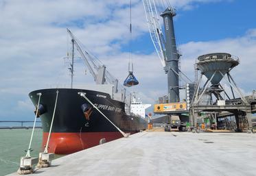Le Port Atlantique la Rochelle semble reprendre des couleurs du côté des exportations, avec une campagne céréalière en augmentation de 16 %, soit 3,9 millions de tonnes 