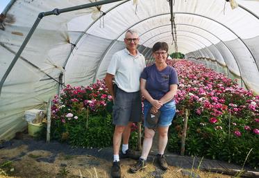 Vincent et Maud sont partis de peu de moyens pour devenir agriculteurs multiplicateurs. Ils assurent désormais l'approvisionnement des filières florales et potagères reconnues.