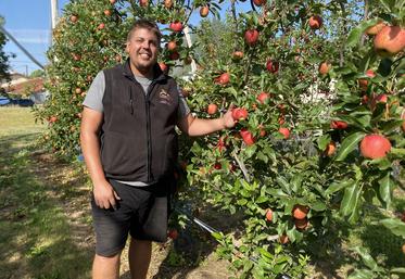 Cette année, les fruits sont colorés mais de petit calibre, comme le montre Willy Giraud, des Vergers de la Babinière.