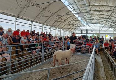 La vente aux enchères de la station Rouge de l'Ouest a attiré une bonne part d'éleveurs utilisateurs.