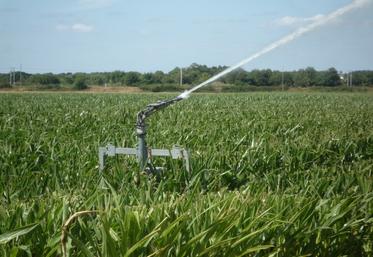 La décision a imposé une baisse des volumes de l'ordre de 40 % pour le bassin du Curé, mettant en danger l'irrigation pour les futures campagnes.