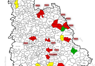 Au 24 septembre, 11 cas de FCO-8 et 3 de MHE avaient été confirmés dans la Vienne. Cette carte est mise à jour le vendredi et est donc peut-être déjà obsolète.