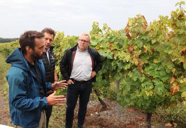 Jehan Kappes Grange, viticulteur et membre du Conseil scientifique et technique du BNIC ; Florent Morillon, représentant la Fédération des interprofessions du bassin viticole Charentes-Cognac et Vincent Lang, directeur du pôle de développement durable du BNIC (ex-Station viticole).