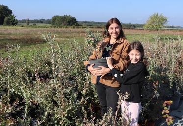 

L'entreprise Romat-Duret Petits Fruits a été reprise en juin dernier par Émilie Romat, qui travaillera avec son père et sa tante. Une boutique physique va être ouverte, en plus du site internet, et les Petits Fruits seront également présents sur les marchés.