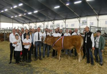 Les éleveurs de la race Limousine posent autour de la femelle de Yannick Debarre, Une Fois, jugée meilleur animal du concours.