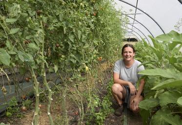 Dans son Jardin du Kikiwi, Marion Lacourarie cultive toutes sortes de légumes, et notamment des tomates sous serres.