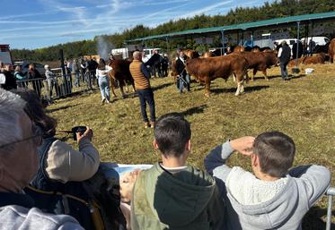 Le public a suivi les présentations des animaux, annonce des résultats du concours et commentaires des juges. 