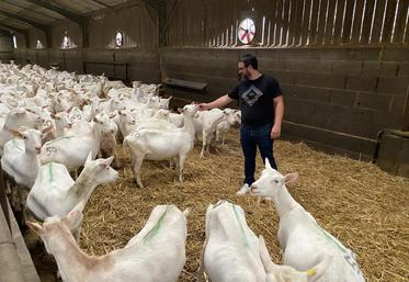 Jérôme Wanlin s'appuie sur les données du logiciel Caplait pour identifier les chèvres les plus productives et soutenir ainsi les progrès génétiques de son élevage.