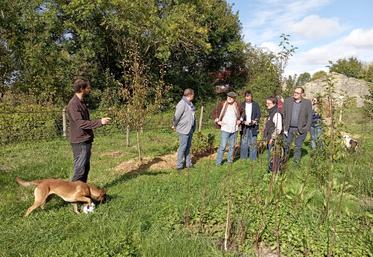 Visite du verger avec Thomas Gouello ponctuée par de multiples échanges.