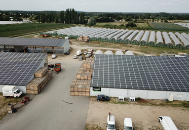 À l'Angevine, exploitation maraîchère bio, une partie de l'électricité produite est autoconsommée pour la station de conditionnement et l'irrigation.