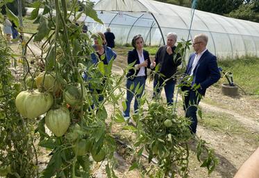 Le chantier d'insertion par le maraîchage bio des Jardins du Bandiat-CIDIL va s'installer à Montbron, dans les serres du maraîcher Éric Quément.