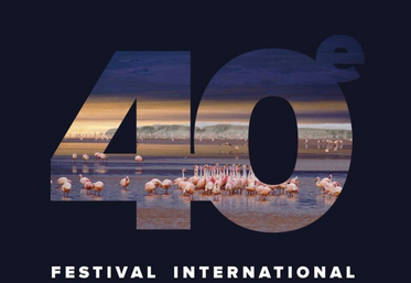 Les Flamants de James qui illustrent l'affiche du FIFO sont de Jacques Gillon, photographe invité d'honneur cette année. Une exposition lui sera consacrée lors de cette édition.