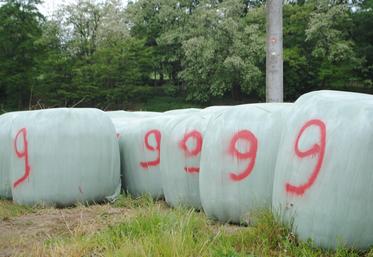 En dessous de 40 % de matière sèche, l'enrubannage est considéré « à risque ».