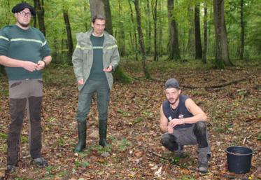 De gauche à droite : Kevin Claveau, technicien forestier territorial en Forêt de Moulière, Guillaume Labarre responsable départemental de la Vienne et le Nord Deux-Sèvres, aux côtés de Jérémy, ramasseurs de glands.