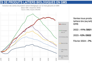 Vente de produits laitiers en GMS