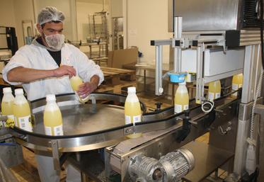 Six millions de bouteilles de ce blanc d'œufs liquide sont produites chaque année à Pleumartin.