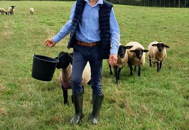 Valentin Saulnier dans son élément, au milieu des ovins.