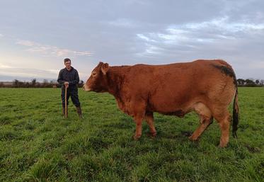 L&#039;élevage de Frédéric Fauchard affiche de bonnes performances tant au niveau de l&#039;Ivmat que de l&#039;Isevr.