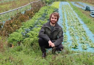Les Jardins de Poppy sont installés en maraîchage biologique à L'Isle-d'Espagnac
