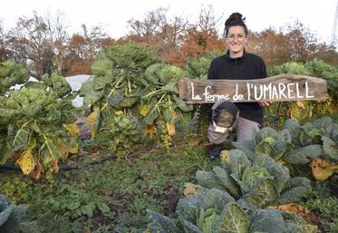 Lætitia Ancel cultive ses légumes sur 1,5 hectare à Exideuil-sur-Vienne.