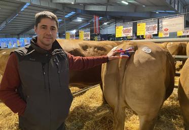 Benoît Boissinot n'avait pas participé depuis le Covid. Ses trois vaches ont été primées (en fond, le bovin de Bronze), "ce qui ne garantit pas un prix correct d'achat", vigile l'éleveur.