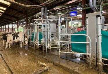 Le robot DairyRobot R9500 de GEA présente l'avantage de disposer d'une unité de service conçue pour desservir plusieurs stalles.