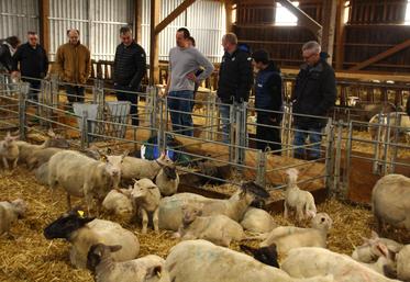 Les participants ont visité les bâtiments d'élevage de Sébastien Martin.
