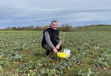 Thomas Charruault utilise les données qu'il fait remonter au niveau Poitou-Charentes pour mieux connaître l'état sanitaire de ses parcelles.