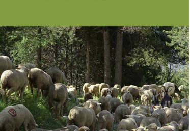 Le guide de 50 pages est disponible gratuitement.