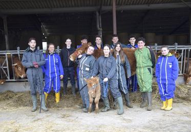 Élèves italiens et français étaient réunis quelques jours en janvier pour s'entraîner à manipuler Samoussa et son petit Vinaigre.