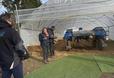 Du maïs a été implanté dans une serre afin de pouvoir mener des tests en hiver.