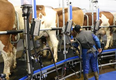Le taux de matière grasse moyen du lait produit en France remonte depuis la fin des quotas il y a dix ans, grâce à la génétique et l'alimentation.