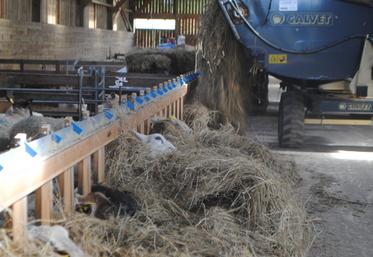Une partie des enrubannages présente un taux de matière sèche insuffisant.