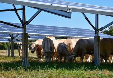 La production d'énergie à la ferme n'est pas vue de la même façon par les 3 listes, notamment l'agrivoltaïsme.